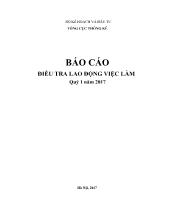 Báo cáo điều tra lao động việc làm quý 1 năm 2017