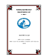 Tiểu luận Môn luật lao động pháp luật về lao động là người giúp việc gia đình