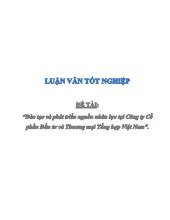 Đề tài Đào tạo và phát triền Nguồn nhân lực tại Công ty CP Đẩu tư và Thương mại Tổng hợp Việt Nam