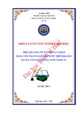 Đề tài Hiệu quả đầu tư xây dựng cơ bản bằng vốn ngân sách nhà nước trên địa bàn huyện Thanh Chương, tỉnh Nghệ An