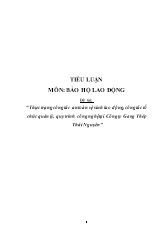 Đề tài Thực trạng công tác an toàn vệ sinh lao động, công tác tổ chức quản lý, quy trình công nghệ tại Công ty Gang Thép Thái Nguyên