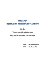 Đề tài Thục trạng điều kiện lao dộng tại công ty trách nhiệm hữu hạn cơ khí Tam Mao