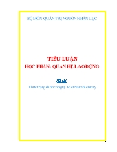 Đề tài Thực trạng đình công tại Việt Nam hiện nay