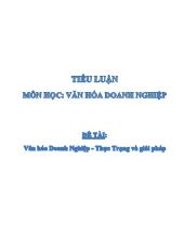 Đề tài Văn hóa doanh nghiệp – thực trạng và giải pháp