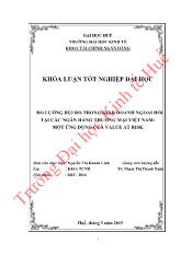 Khóa luận Đo lường rủi ro trong kinh doanh ngoại hối tại các ngân hàng thương mại Việt Nam: Một ứng dụng của Value At Risk