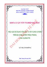 Khóa luận Hiệu quả sử dụng vốn đầu tư xây dựng cơ bản trên địa bàn huyện Triệu Phong, tỉnh Quảng Trị