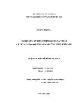 Luận án Nghiên cứu kỹ thuật nhân giống và trồng cà chua F1 giống estyva bằng công nghệ khí canh