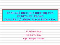 Y khoa - Dược - Đánh giá hiệu quả điều trị của sildenafil trong tăng áp lực động mạch phổi nặng