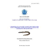 Đề tài Ảnh hưởng của 2 loại thức ăn khác nhau trong ương nuôi cá chình bông (anguilla marmorata quoy & gaimard, 1824) giai đoạn 20 – 150g tại Trà Vinh