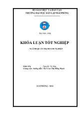 Khóa luận Biện pháp nâng cao hiệu quả hoạt động kinh doanh tại công ty TNHH thương mại và vận tải Ngọc Minh