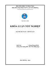 Khóa luận Hoàn thiện công tác lập và phân tích bảng cân đối kế toán tại công ty TNHH Nhựa Việt Nam