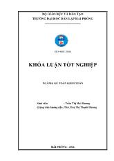 Khóa luận Hoàn thiện công tác lập và phân tích bảng cân đối kế toán tại Công ty cổ phần Isea