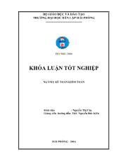 Khóa luận Hoàn thiện tổ chức kế toán doanh thu, chi phí và xác định kết quả kinh doanh tại công ty TNHH gas petrolimex Hải Phòng