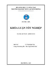 Khóa luận Hoàn thiện tổ chức kế toán doanh thu, chi phí và xác định kết quả kinh doanh tại Công ty TNHH thương mại Đan Việt