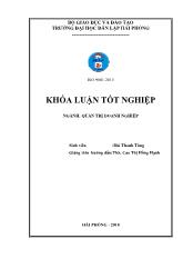 Khóa luận Một số biện pháp nhằm nâng cao hiệu quả sử dụng nguồn nhân lực tại công ty TNHH đầu tư xây dựng và thương mại Thành Đồng