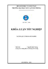 Khóa luận Một số biện pháp nhằm nâng cao hiệu quả sử dụng nguồn nhân lực tại công ty TNHH MTV đầu tư và phát triển HPI