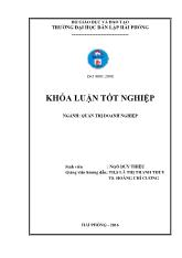 Khóa luận Một số giải pháp marketing nâng cao hiệu quả sản xuất và kinh doanh tại Công ty TNHH thương mại Đan Việt