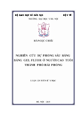 Luận án Nghiên cứu dự phòng sâu răng bằng gel fluor ở người cao tuổi thành phố Hải Phòng