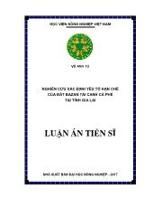 Luận án Nghiên cứu xác định yếu tố hạn chế của đất bazan tái canh cà phê tại tỉnh Gia Lai