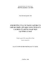 Luận án Ảnh hưởng của các dạng lập địa và chế độ triều lên khả năng tích lũy cacbon của rừng ngập mặn tại tỉnh Cà Mau