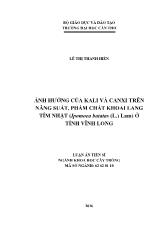 Luận án Ảnh hưởng của kali và canxi trên năng suất, phẩm chất khoai lang tím nhật (ipomoea batatas (l.) lam) ở tỉnh Vĩnh Long