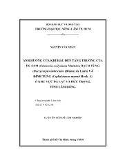 Luận án Ảnh hưởng của khí hậu đến tăng trưởng của Du sam, Bạch tùng và đỉnh tùng ở khu vực Đà lạt và Đức trọng, tỉnh Lâm Đồng