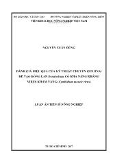 Luận án Đánh giá hiệu quả của kỹ thuật chuyển gen Rnai để tạo dòng Lan dendrobium có khả năng kháng virus khảm vàng (cymbidium mosaic virus)