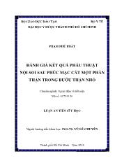 Luận án Đánh giá kết quả phẫu thuật nội soi sau phúc mạc cắt một phần thận trong bướu thận nhỏ