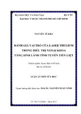 Luận án Đánh giá vai trò của Laser thulium trong điều trị ngoại khoa tăng sinh lành tính tuyến tiền liệt