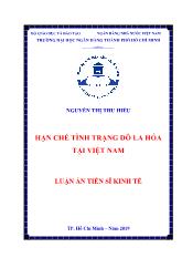 Luận án Hạn chế tình trạng đô la hóa tại Việt Nam