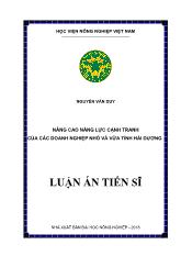 Luận án Nâng cao năng lực cạnh tranh của các doanh nghiệp nhỏ và vừa tỉnh Hải Dương