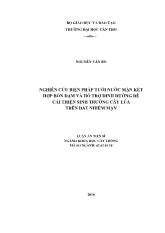 Luận án Nghiên cứu biện pháp tưới nước mặn kết hợp bón đạm và hỗ trợ dinh dưỡng để cải thiện sinh trưởng cây lúa trên đất nhiễm mặn