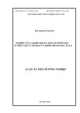 Luận án Nghiên cứu cadimi trong một số nhóm đất ở Việt Nam và tích luỹ cadimi trong rau ăn lá