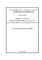 Luận án Nghiên cứu chọn tạo dòng bố mẹ chống chịu bạc lá, rầy nâu phục vụ phát triển lúa lai hai dòng ở Việt Nam