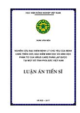 Luận án Nghiên cứu đặc điểm bệnh lý chủ yếu của chó mắc bệnh Care, đặc điểm sinh học và sinh học phân tử của virus Care phân lập được tại một số tỉnh phía Bắc Việt Nam