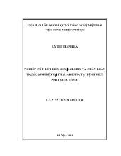 Luận án Nghiên cứu đột biến gen beta globin và chẩn đoán trước sinh bệnh beta thalassemia tại bệnh viện nhi trung ương