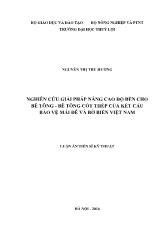 Luận án Nghiên cứu giải pháp nâng cao độ bền cho bê tông - Bê tông cốt thép của kết cấu bảo vệ mái đê và bờ biển Việt Nam