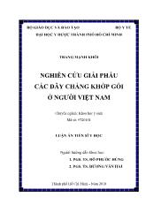 Luận án Nghiên cứu giải phẫu các dây chằng khớp gối ở người Việt Nam