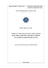 Luận án Nghiên cứu khả năng loại màu thuốc nhuộm hoạt tính và phân hủy chất diệt cỏ / dioxin của vi sinh vật sinh enzyme laccase