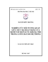 Luận án Nghiên cứu mối tương quan giữa mức độ hoạt động của bệnh với một số tự kháng thể trong lupus ban đỏ hệ thống