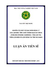 Luận án Nghiên cứu một số đặc điểm bệnh lý lợn mắc tiêu chảy thành dịch do virus (Porcine epidemic diarrhea - PED) gây ra trên đàn lợn Mán và lợn Rừng tại tỉnh Hà Giang