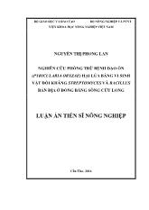 Luận án Nghiên cứu phòng trừ bệnh đạo ôn (pyricularia oryzae) hại lúa bằng vi sinh vật đối kháng streptomyces và bacillus bản địa ở đồng bằng sông Cửu Long