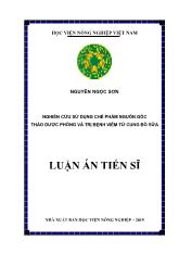 Luận án Nghiên cứu sử dụng chế phẩm nguồn gốc thảo dược phòng và trị bệnh viêm tử cung bò sữa