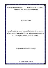 Luận án Nghiên cứu sự phát sinh phôi soma từ nuôi cấy lớp mỏng tế bào lá cây cọc rào (jatropha curcas l.) và ứng dụng trong vi nhân giống