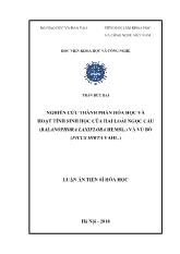 Luận án Nghiên cứu thành phần hóa học và hoạt tính sinh học của hai loài ngọc cẩu (balanophora laxiflora hemsl.) và vú bò