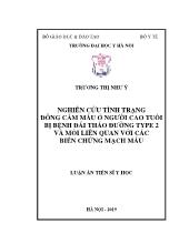 Luận án Nghiên cứu tình trạng đông cầm máu ở người cao tuổi bị bệnh đái tháo đường type 2 và mối liên quan với các biến chứng mạch máu