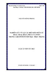 Luận án Nghiên cứu tỷ lệ các biến đổi phân tử KRAS, NRAS, BRAF, PIK3CA và PTEN trong carcinôm tuyến đại - trực tràng