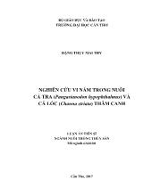 Luận án Nghiên cứu vi nấm trong nuôi cá tra (pangasianodon hypophthalmus) và cá lóc (channa striata) thâm canh