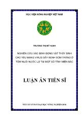 Luận án Nghiên cứu xác định động vật thủy sinh chủ yếu mang virus gây bệnh đốm trắng ở tôm nuôi nước lợ tại một số tỉnh miền bắc