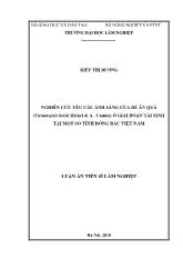 Luận án Nghiên cứu yêu cầu ánh sáng của dẻ ăn quả (castanopsis boisii hickel & a. camus) ở giai đoạn tái sinh tại một số tỉnh đông bắc Việt Nam